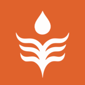 Expert Phone Repairs