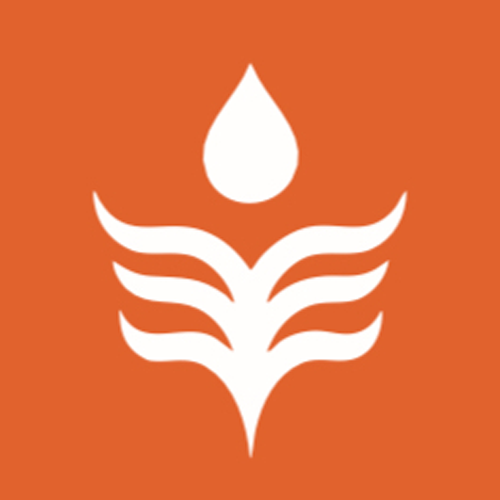 Expert Phone Repairs